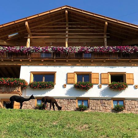 B&B Belvedere Daiano Exteriér fotografie