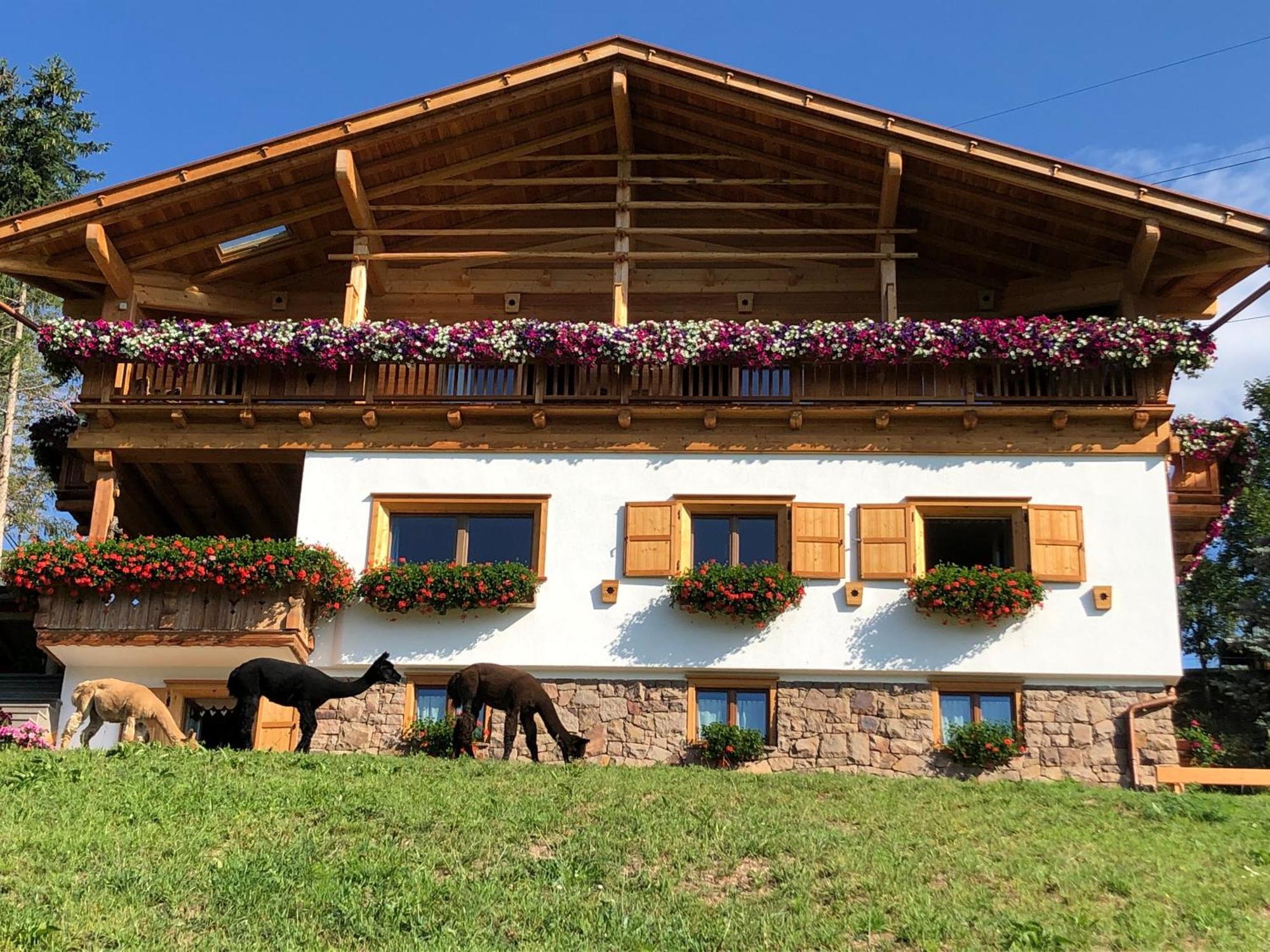B&B Belvedere Daiano Exteriér fotografie
